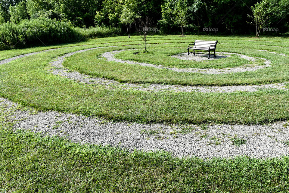 Circles cut in the grass around a single park bench