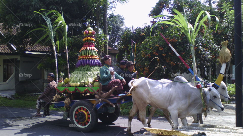 One of Traditional Culture Festival in Yogyakarta, Indonesia