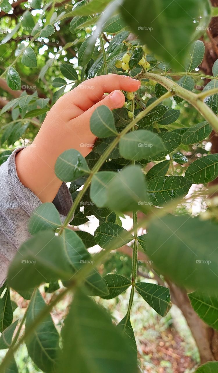 Linda mãozinha que simboliza a curiosidade, pois explora e vivência diferentes texturas.