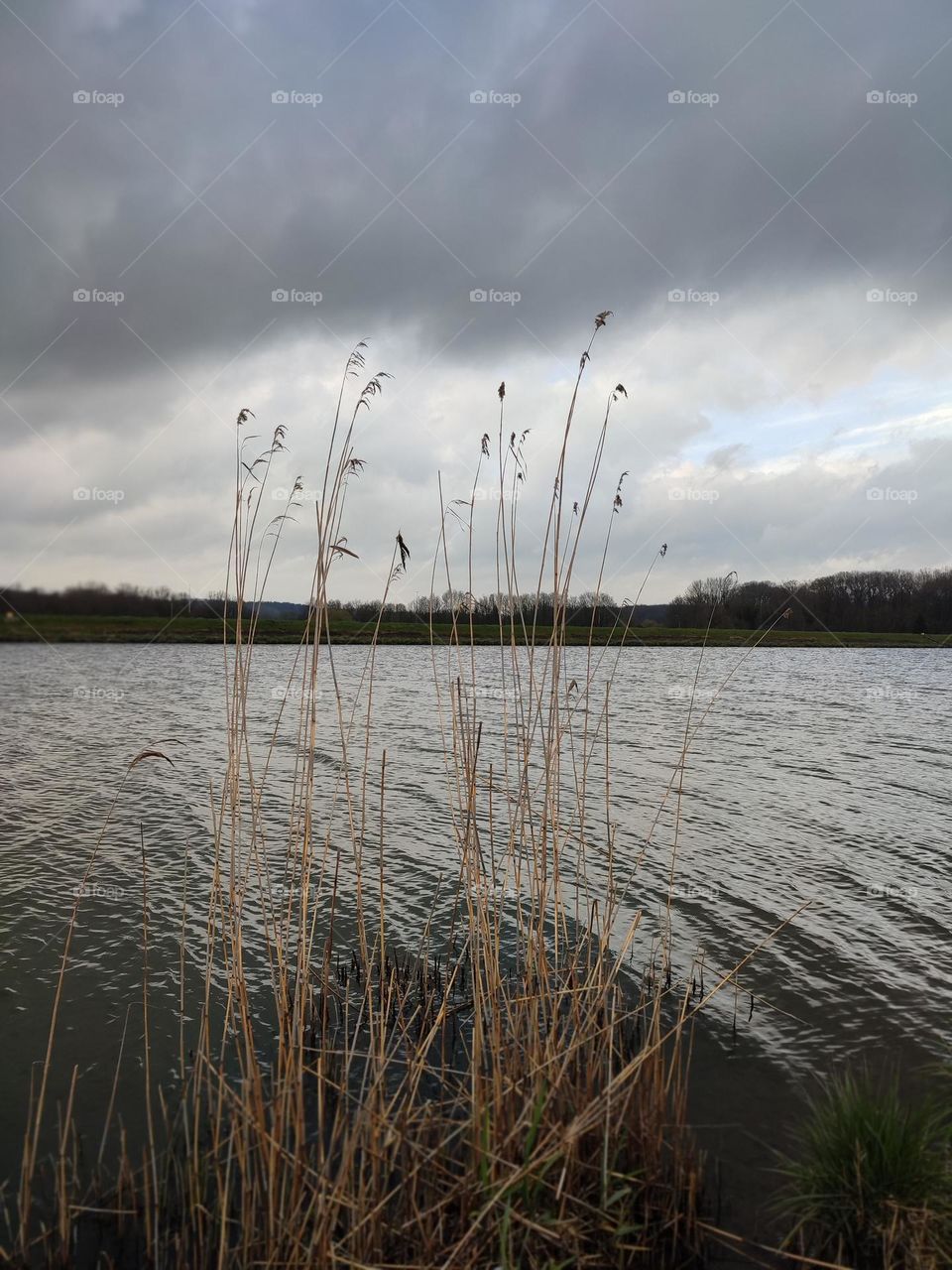 New canal in Houdeng Aimeries