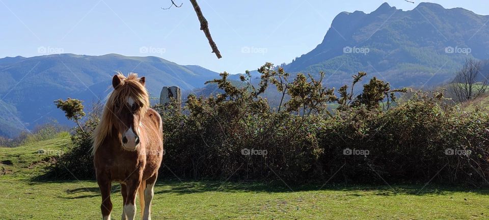 La naturaleza se vive,se huele,se respira,vívela!🌈