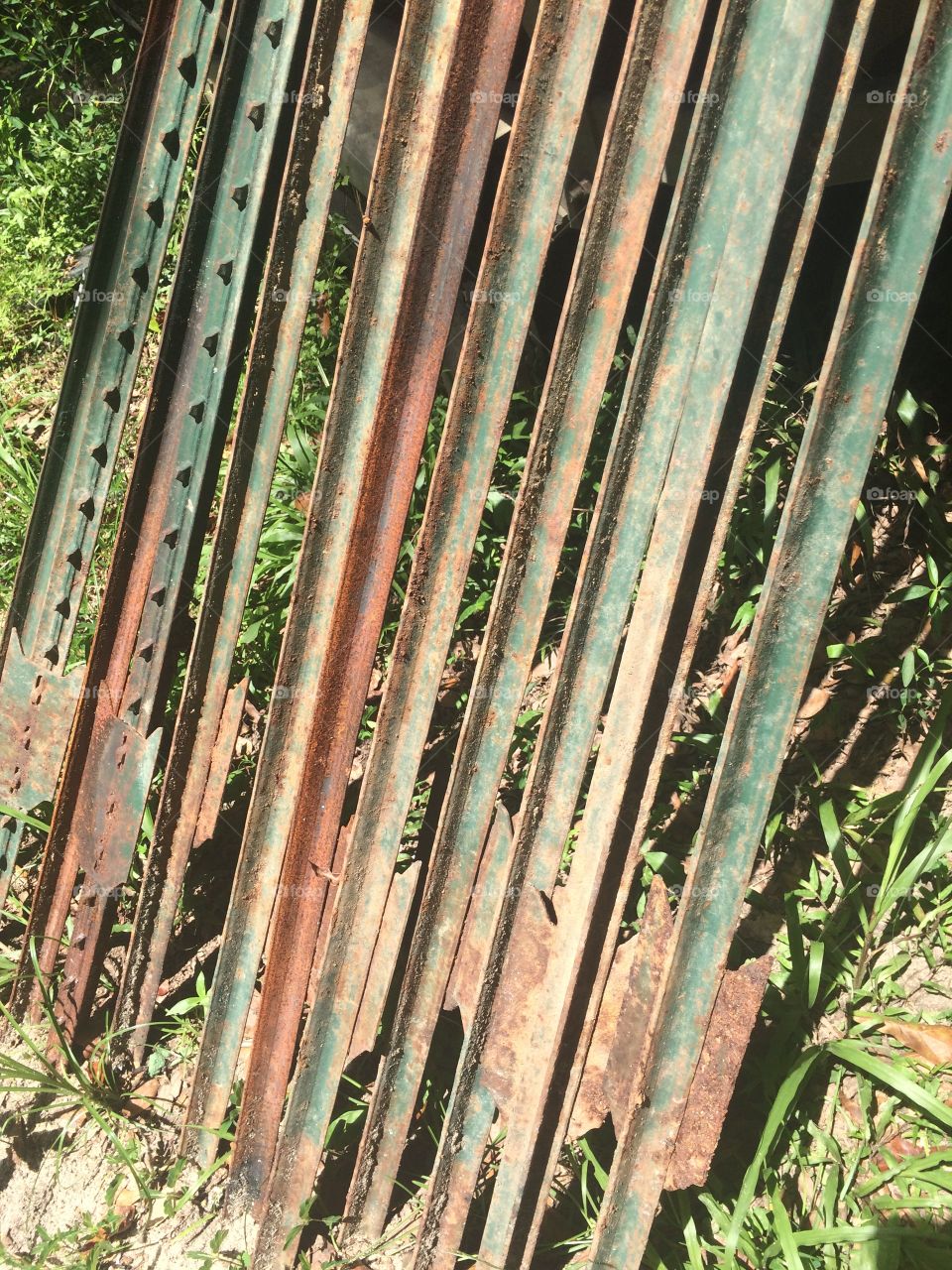 Rusted fence stakes 
