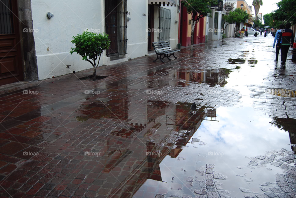 trees pond urban rain by Nikita80