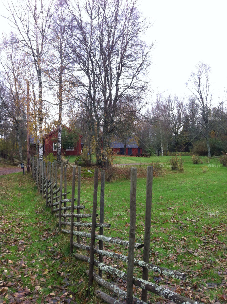 fence trees house fall by istvan.jakob