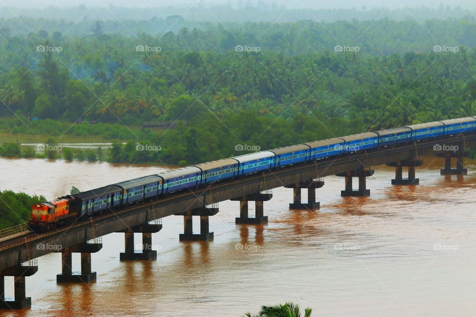 train moving on a bridge over water in monsoon surrounded by green forest