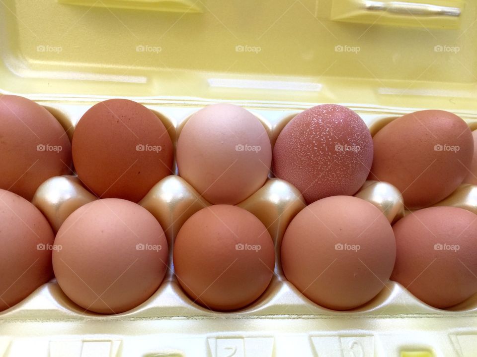 Carton of eggs 