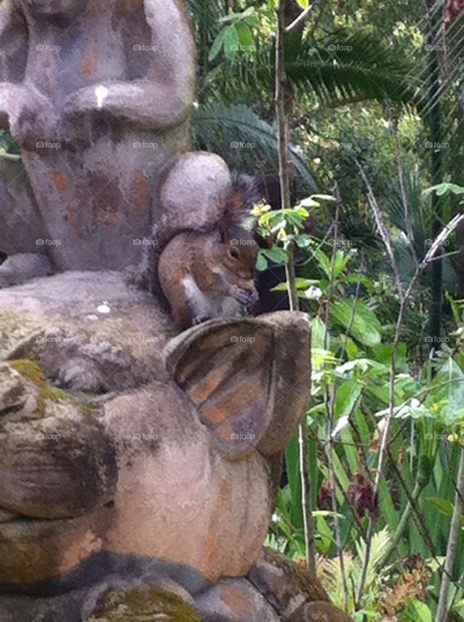 Squirrel Whispering In Statues Ear