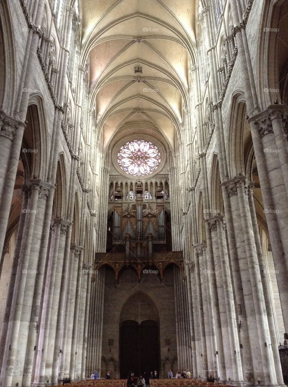 Cathedral. France