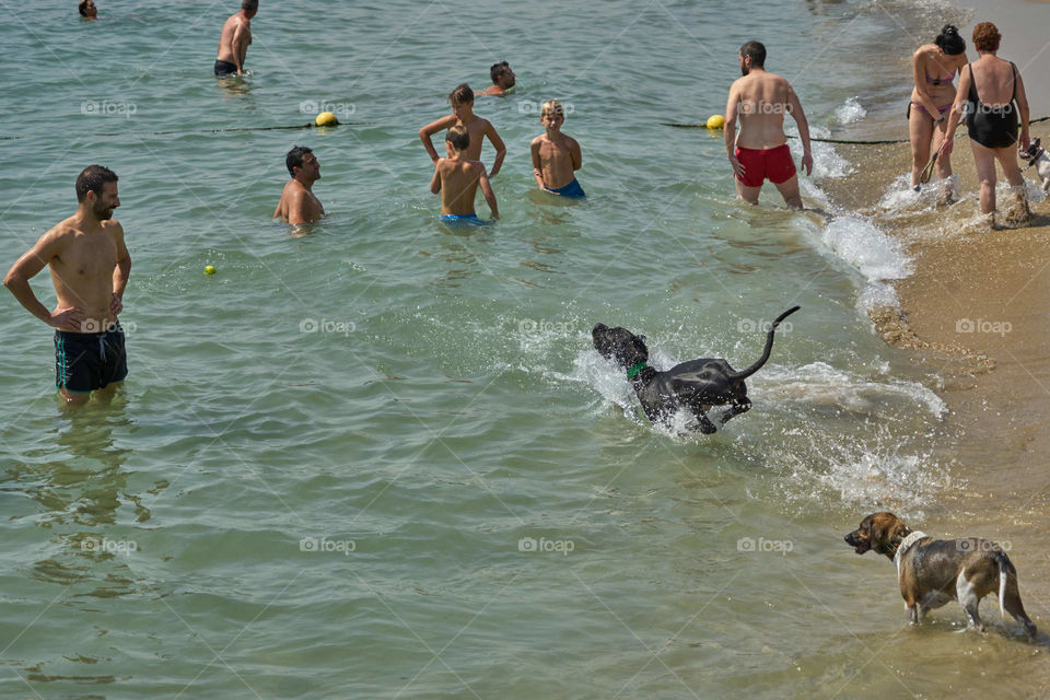 Al agua patos! 