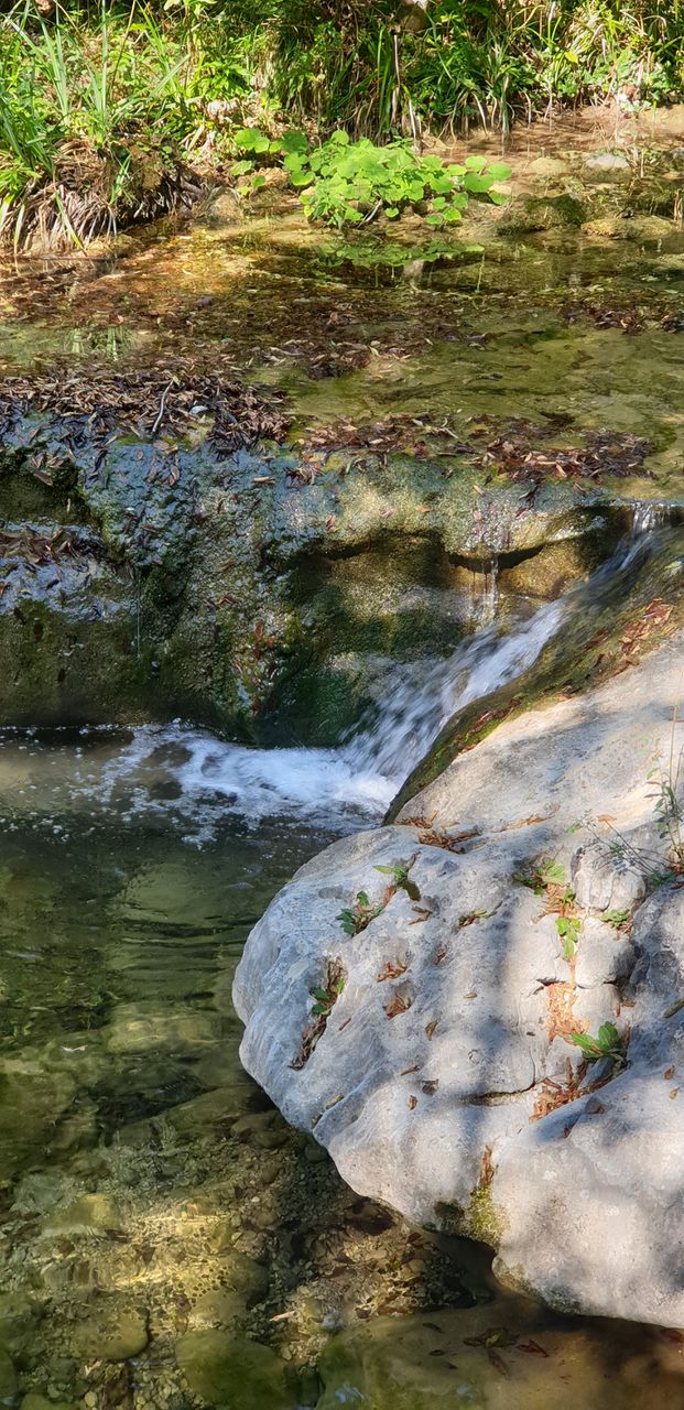 stream