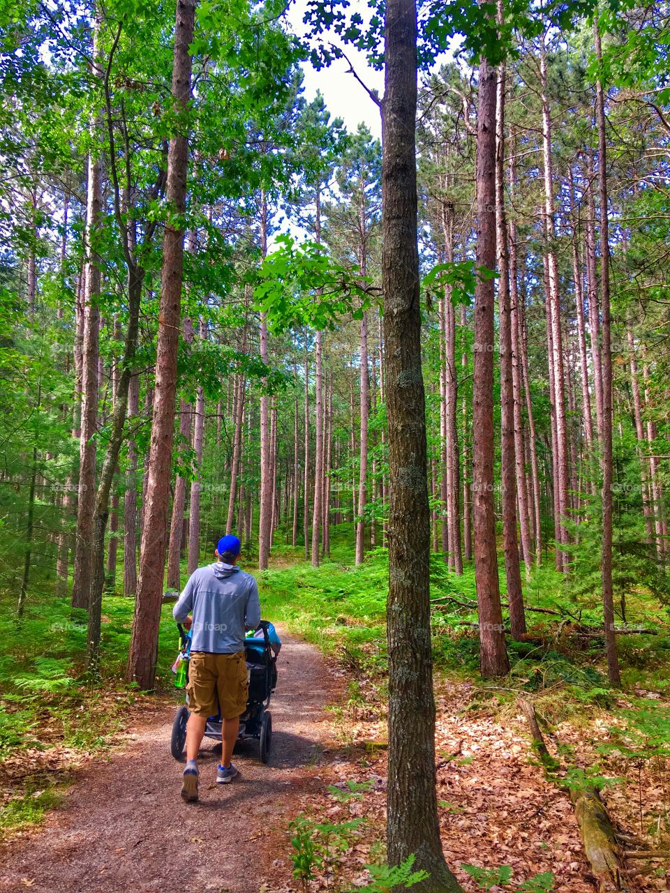 Double Stroller Walk in the Woods