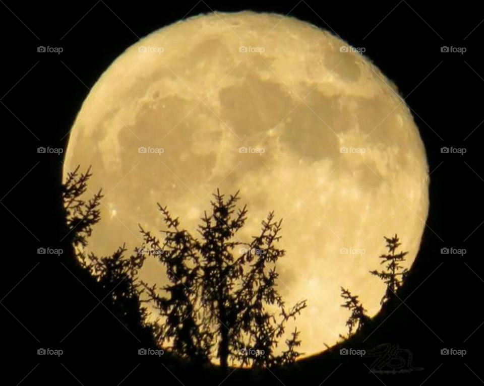 wonderful moon at night