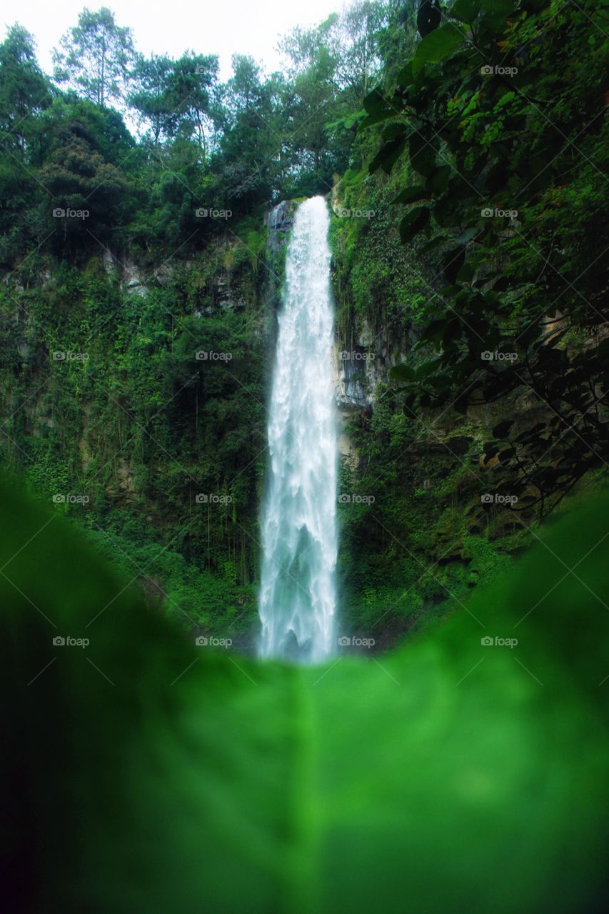 Waterfall in leaf photography exclusive on foap. Perfect for your product advertising. Thank you for donating us to keep provide best picture in foap. Good Luck.