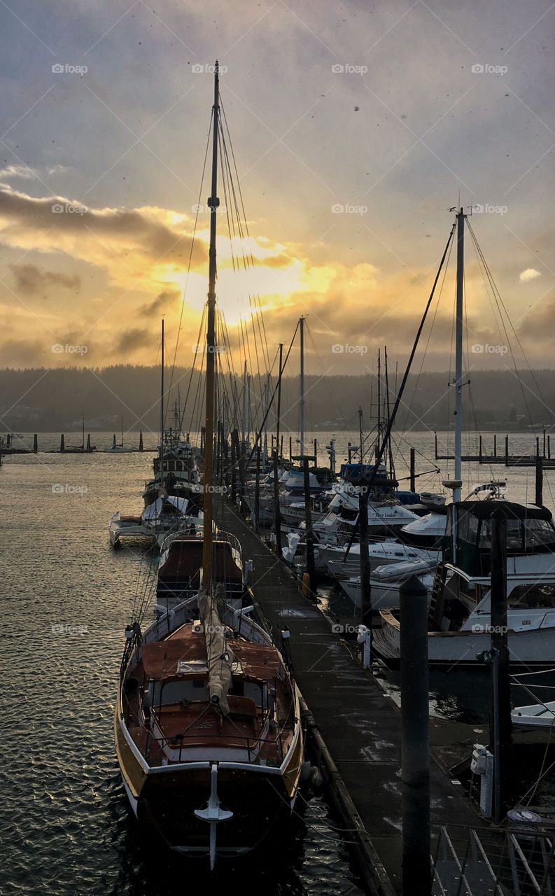 Sunset marina sailboats