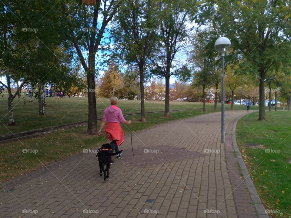Woman from behind walking the dog in a park in autumn