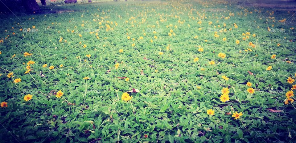 When u feel your beautiful.β€οΈ Automatically everything seems beautiful π»π»π» try to find happiness in small
small moments πΌπΌπΌπΌπΌπΌπΌπ»π»π»π»