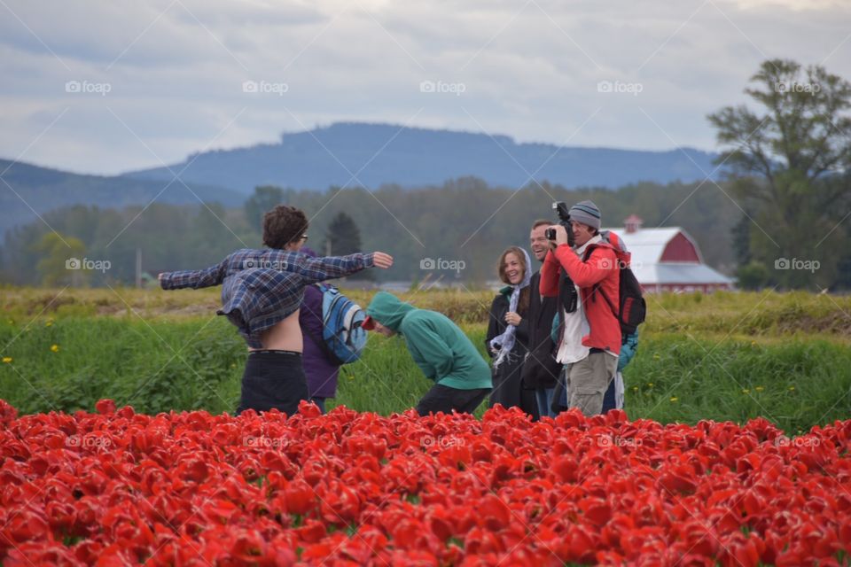 Gone with the Tulips