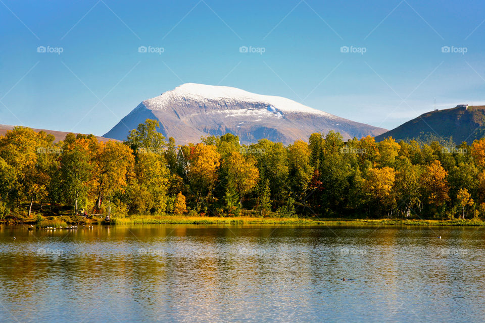 Scenic view of autumn trees and lake
