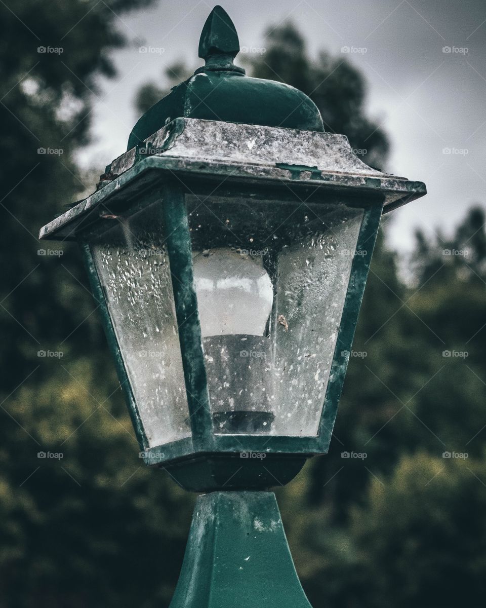 Lamp, Lantern, Bulb, Light, Birdhouse