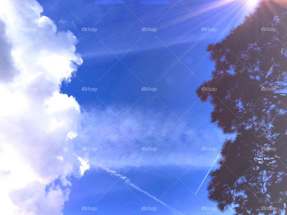 Clouds,trees and sunshine