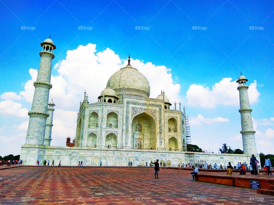 the Taj the real touch