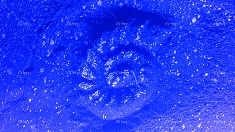 In Blau bist am Schönsten