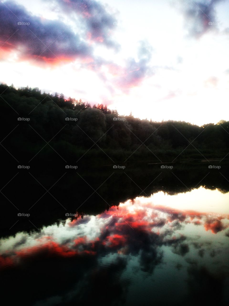 "The sky broke like an egg into full sunset and the water caught fire."
~Pamela Hansford Johnson