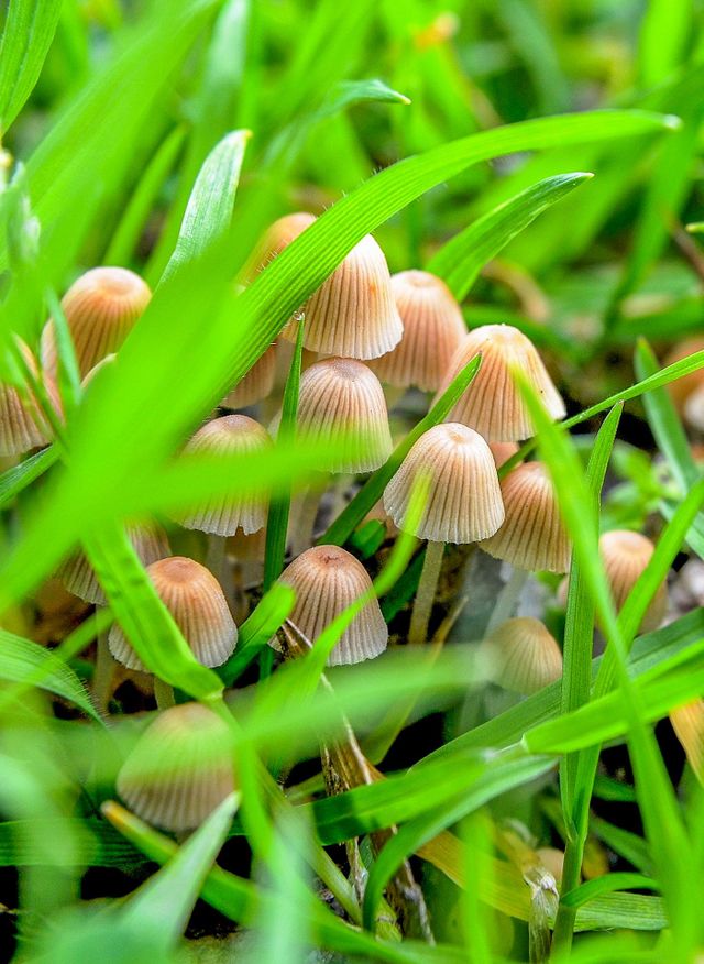 The beauty of Nature