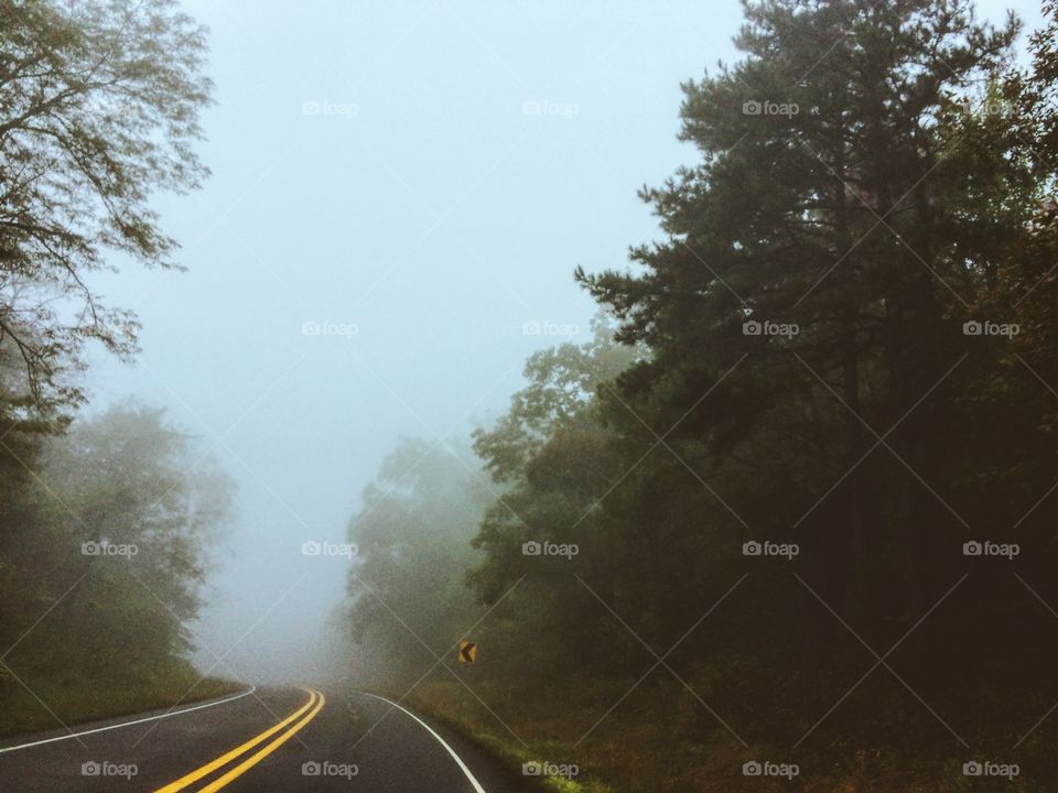 Foggy road trip