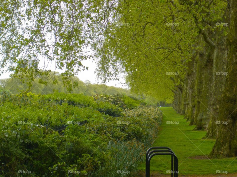 THE HYDE PARK LONDON, ENGLAND