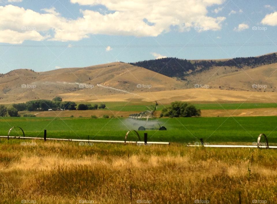 Scenic farmland 
Scenic drive 
Road trip