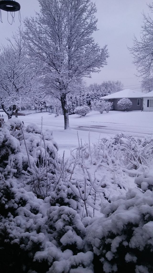 Snowy Street