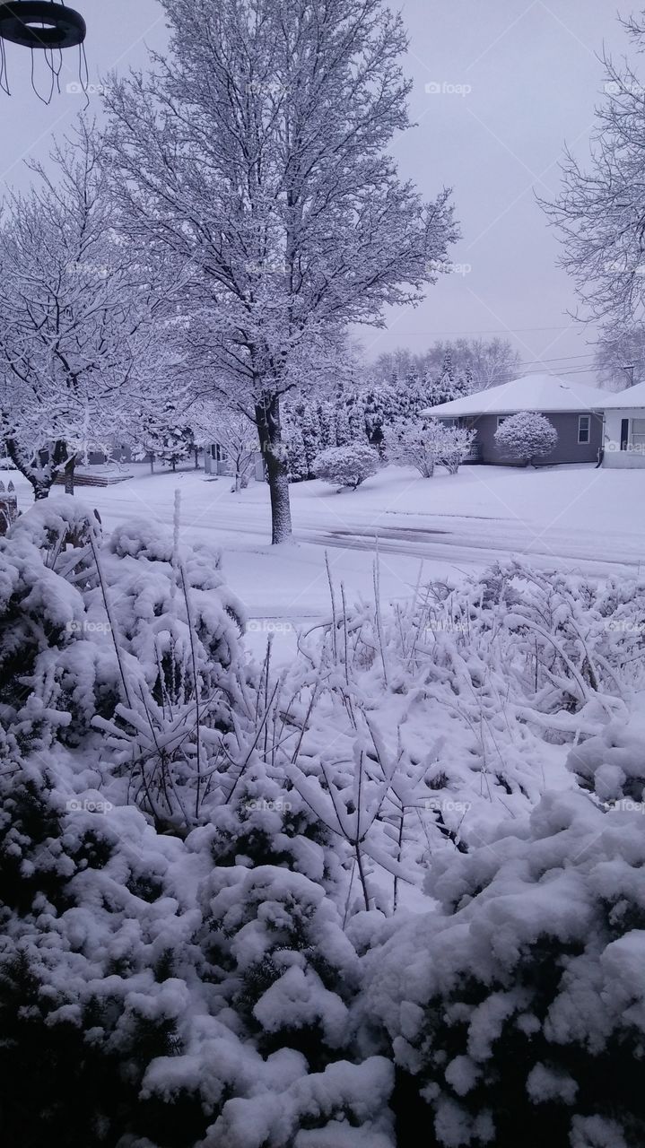 Snowy Street