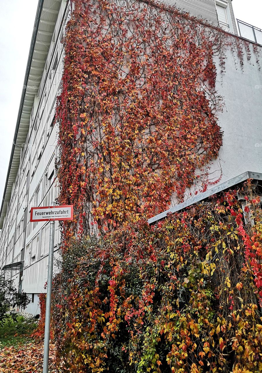 Herbst Haus