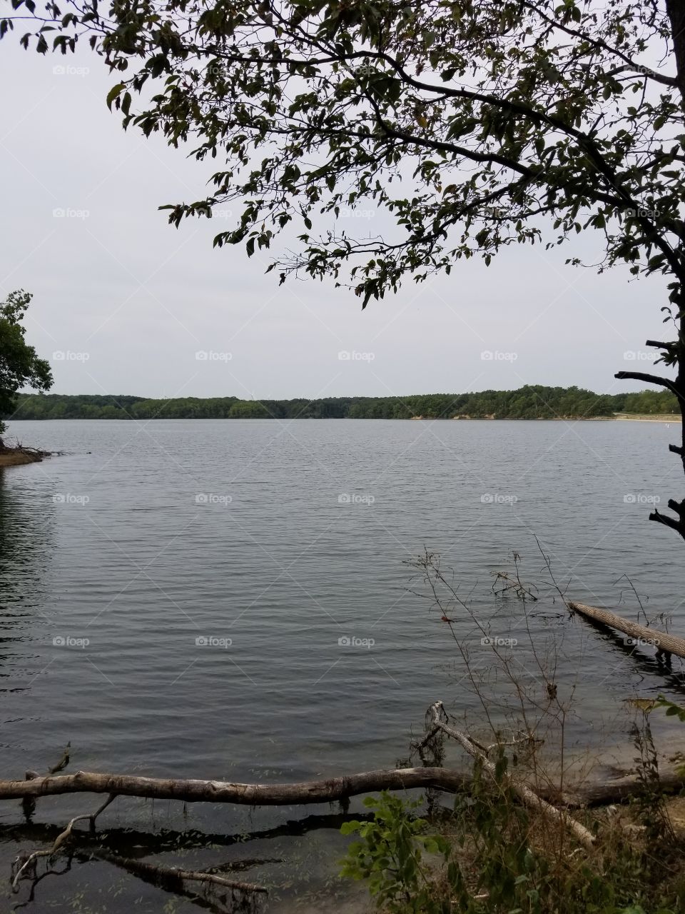 Lake Evergreen