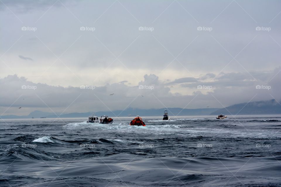 Strait of Juan de Fuqua