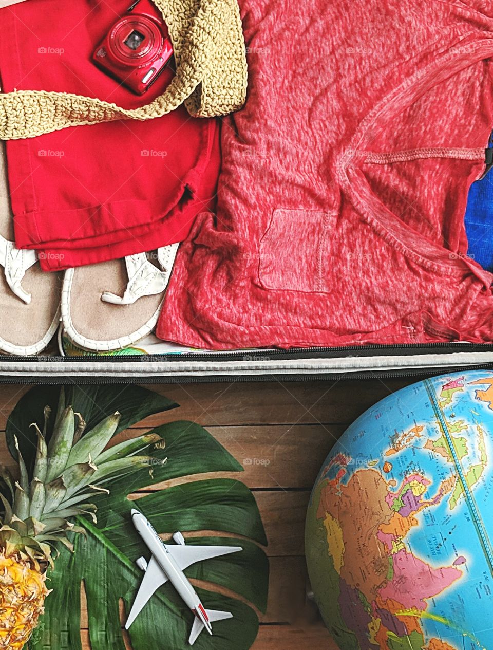 Suitcase for holiday