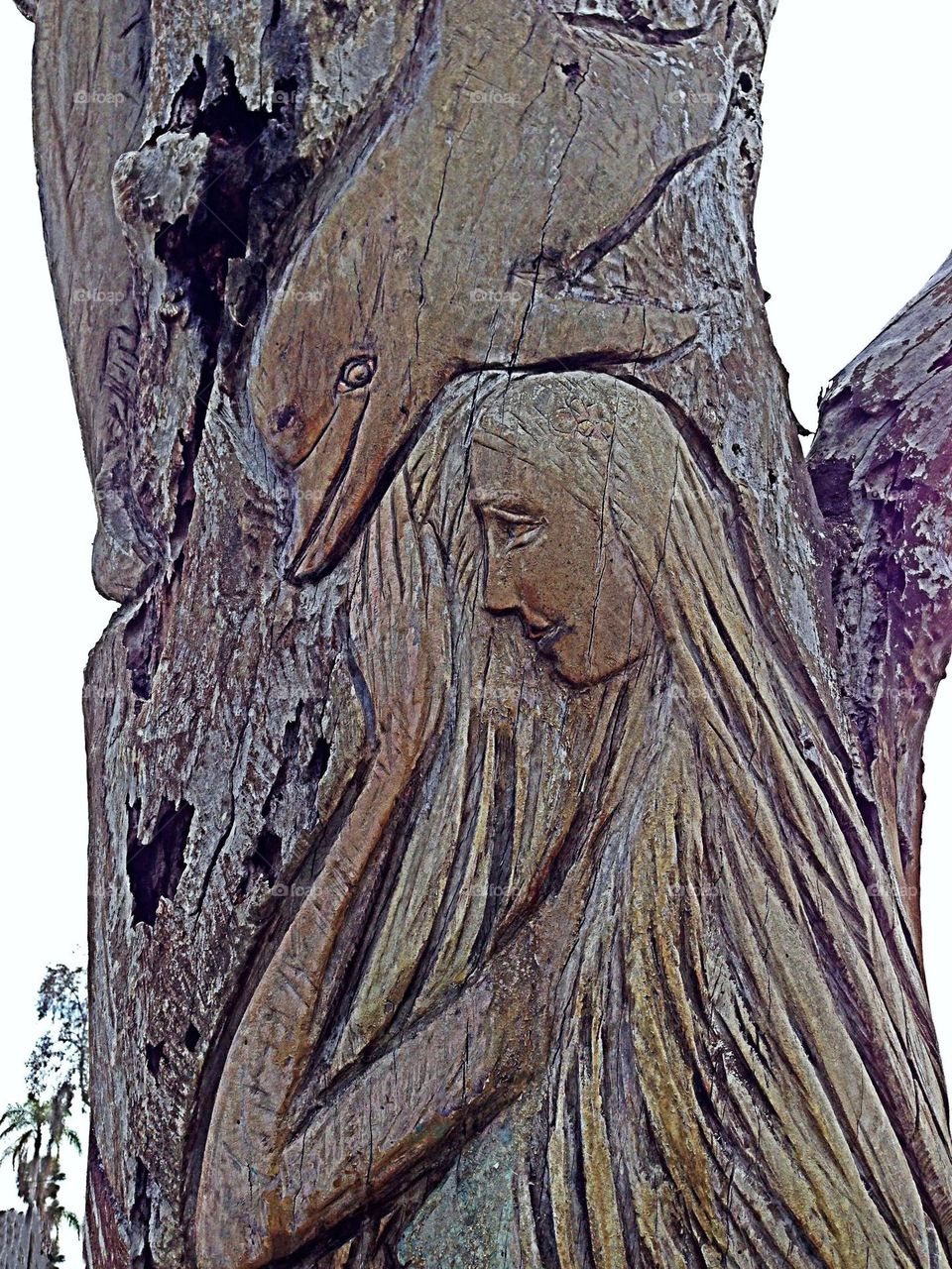 Street art beautiful portrait carved in an ancient tree.