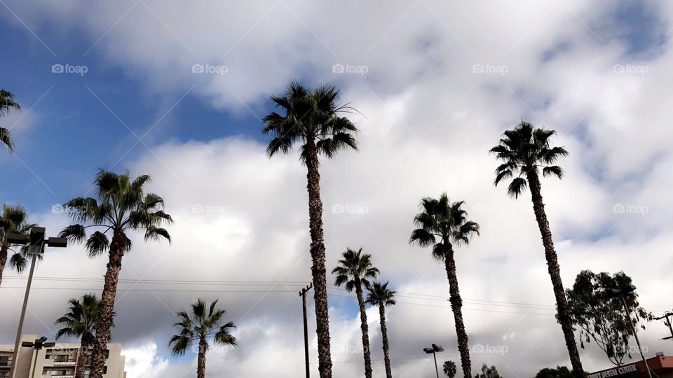Cloudy California