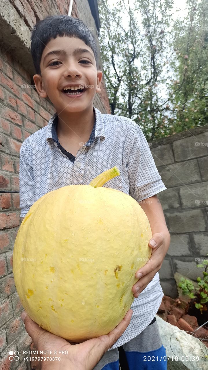 Tasety & fresh  Pumpkins which are widely used used & loved by kashmiri community whereever they are...... 💕💕💕💕💕