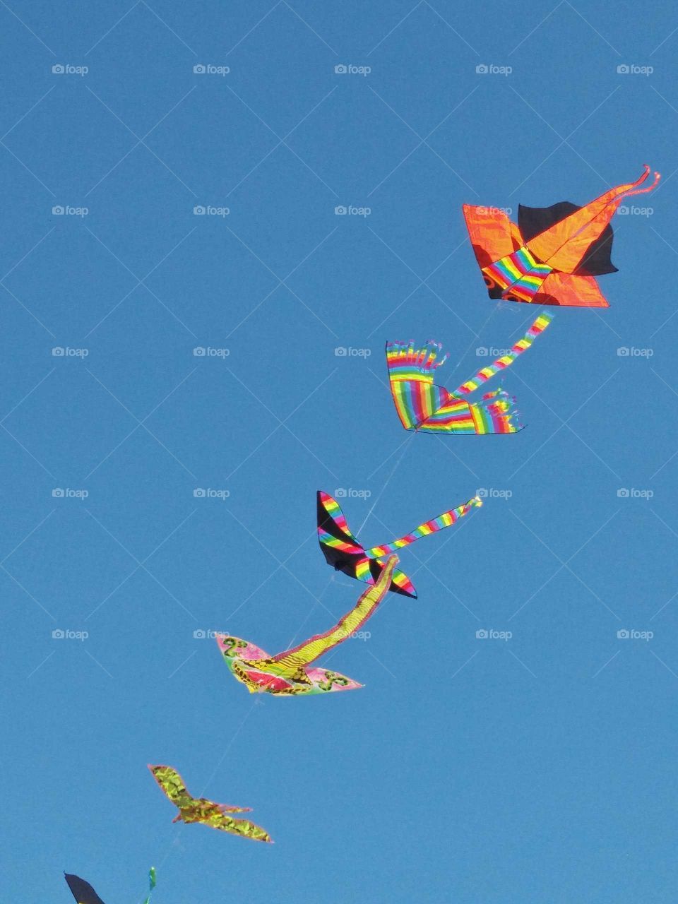 A group of colorful flying kites in the blue sky