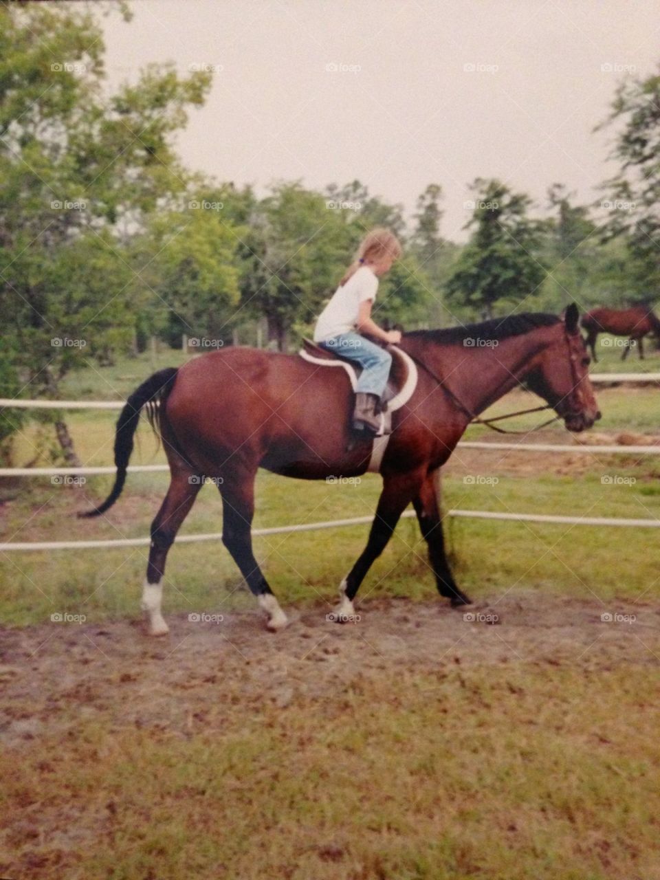 My little girl on a big horse taking a riding lesson.