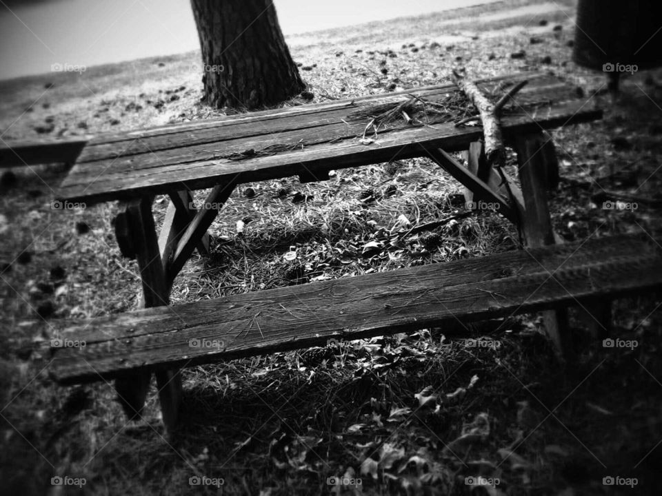 Abandoned picnic table hangout