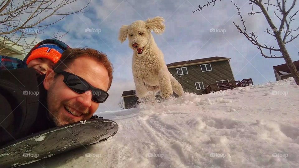 The dog chasing us on a sled