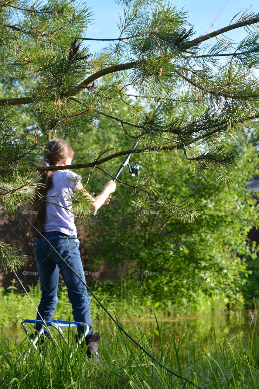 Nature, Grass, Summer, Outdoors, Tree
