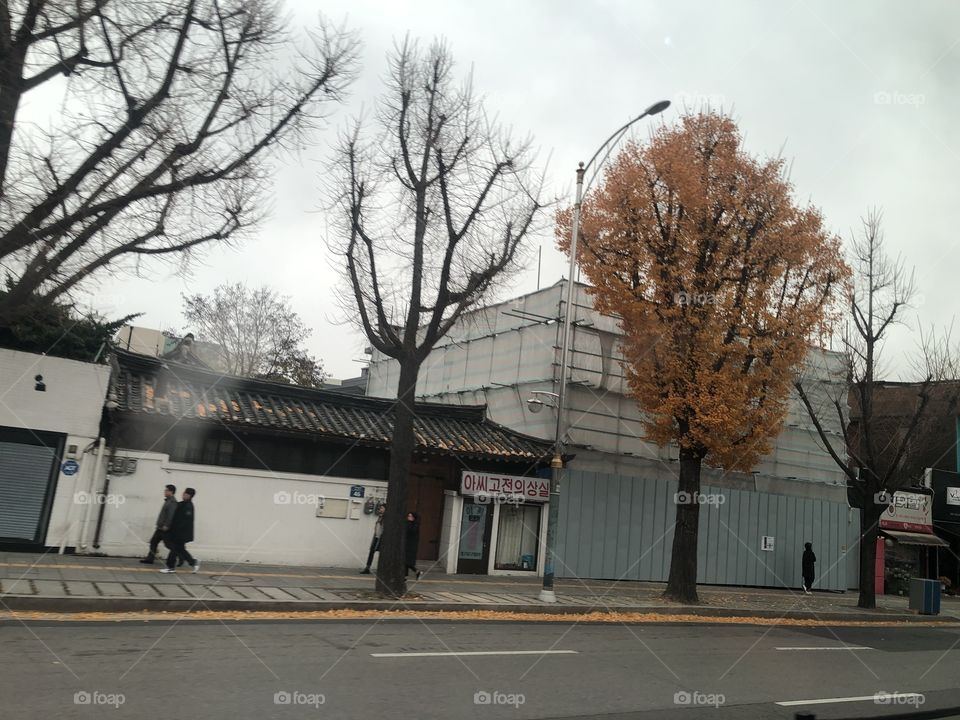 Streets in Korea in autumn 2018
