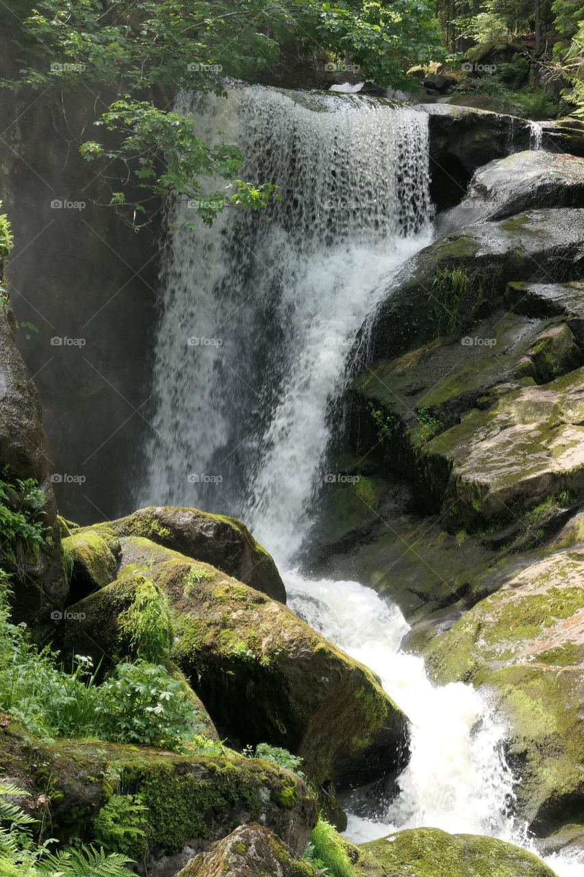 Triberger Wasserfälle