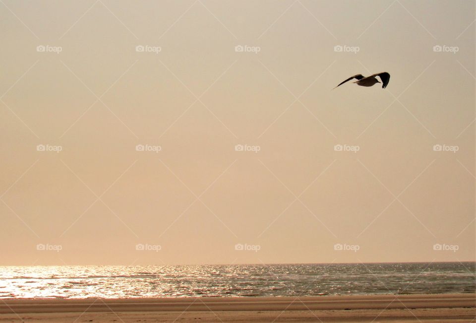 At the seaside