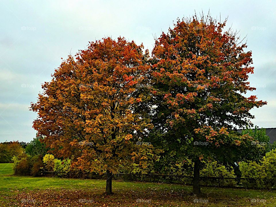 Autumn is here!