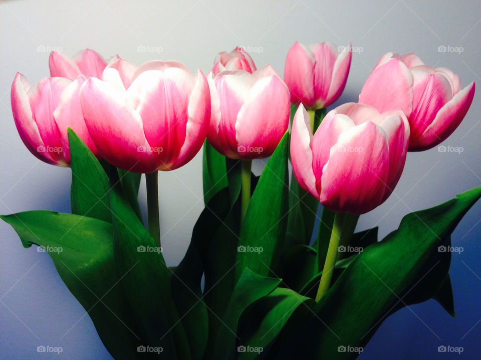 Looking ahead to Spring 